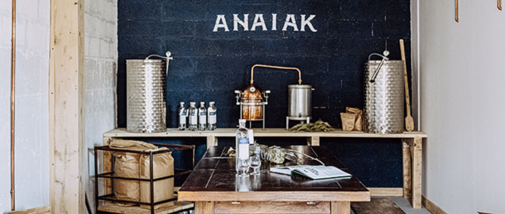 Histoire Gin Anaiak